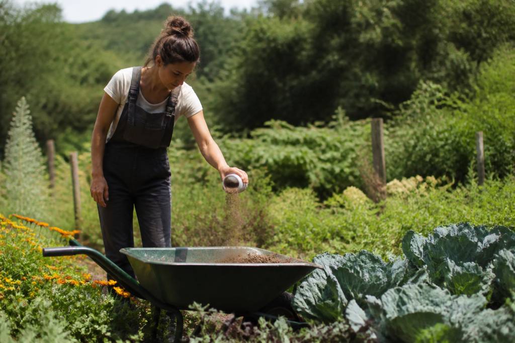 Agriculture biodynamique : principes, pratiques et bienfaits pour des cultures plus durables