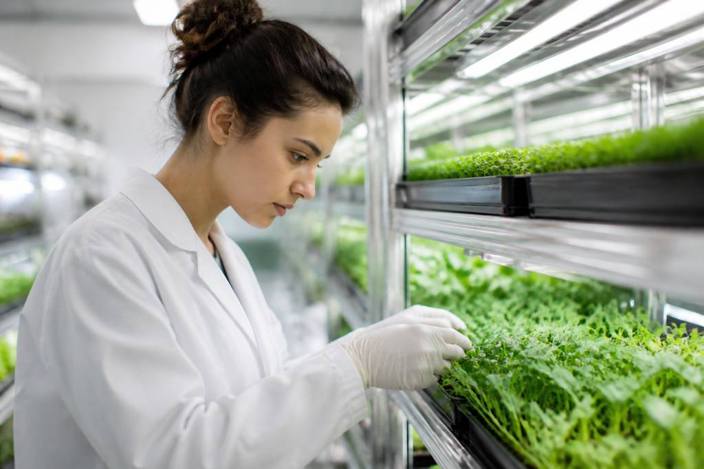 Food of the future : les aliments du futur pour une alimentation durable et saine